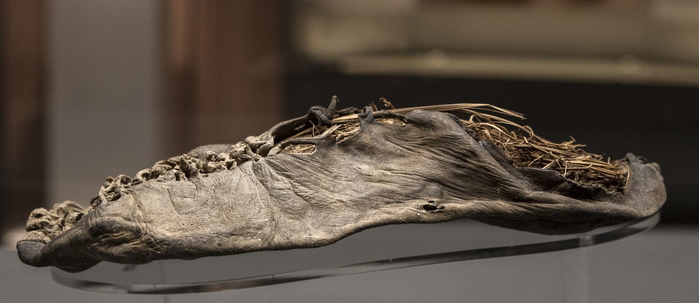 Areni-1: The Cave That Kept the World's Oldest Shoe