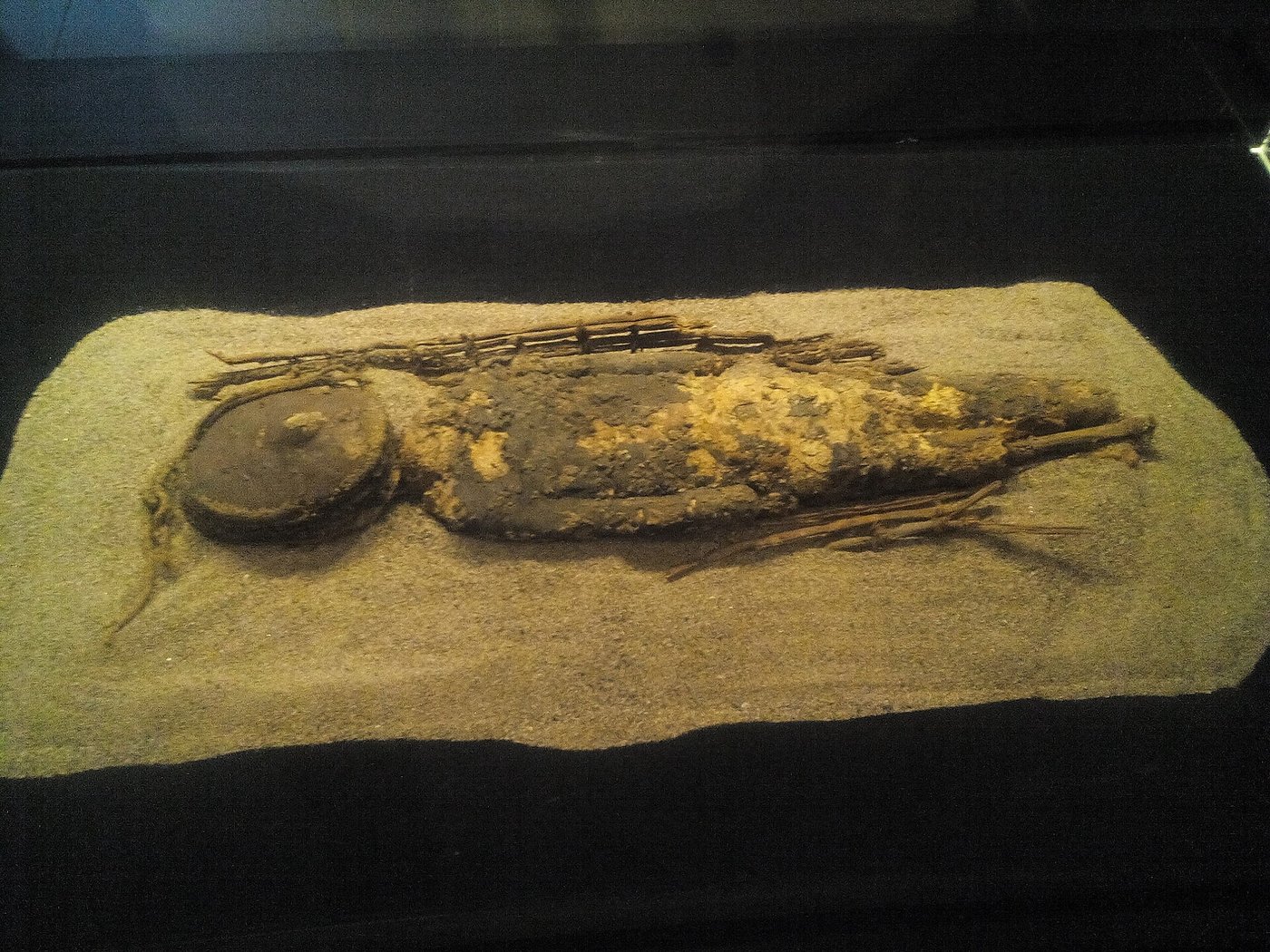 Chinchorro: Made by Fishermen, Older Than the Pharaohs