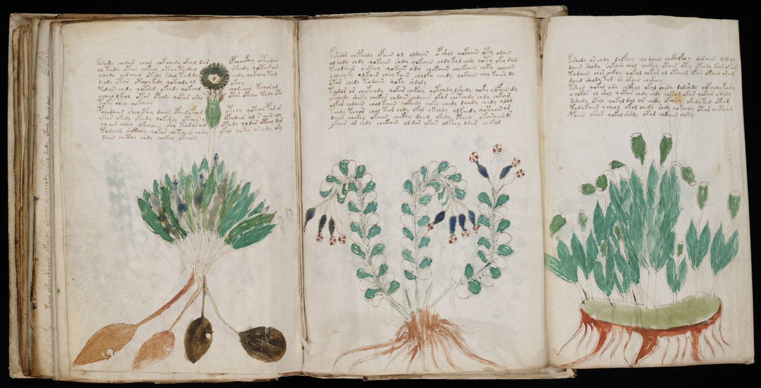 Inside the Voynich Manuscript: The Book No One Can Read