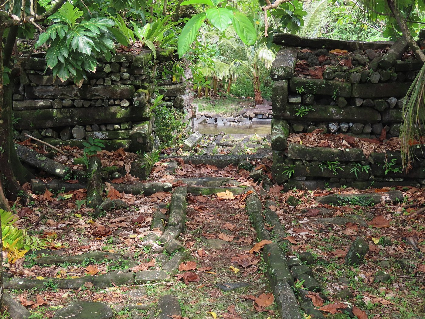 Nan Madol: The Reef City Raised From Stones No Wheel Ever Moved