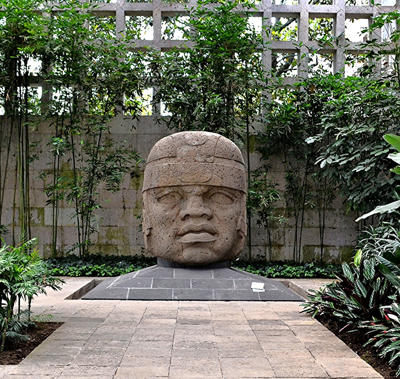 Olmec Colossal Heads: The Giant Faces Recarved From the Thrones of Kings