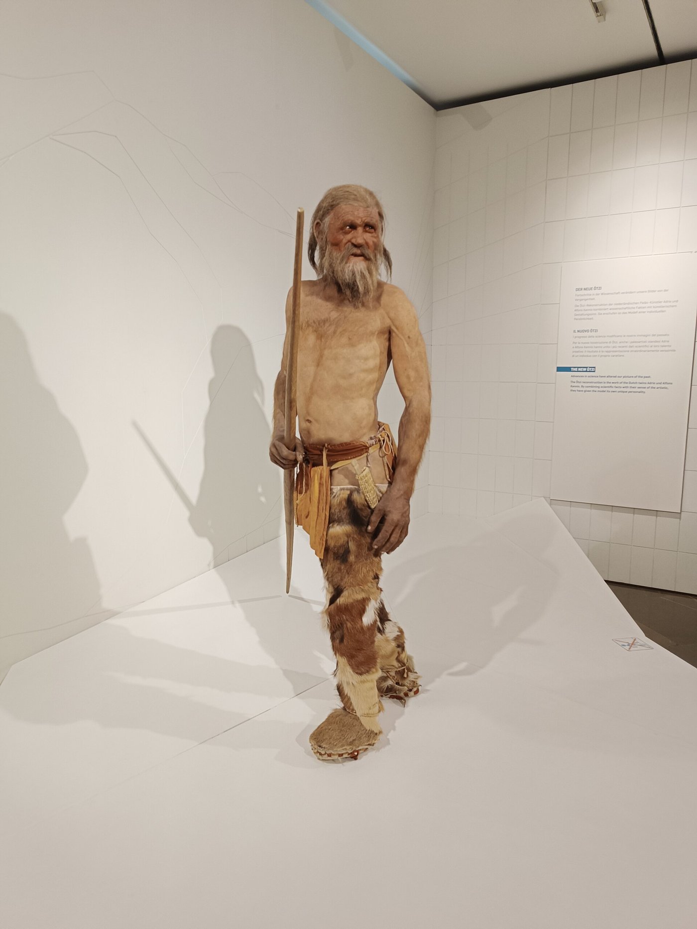 Ötzi the Iceman: The Alpine Murder That Took 5,300 Years to Solve