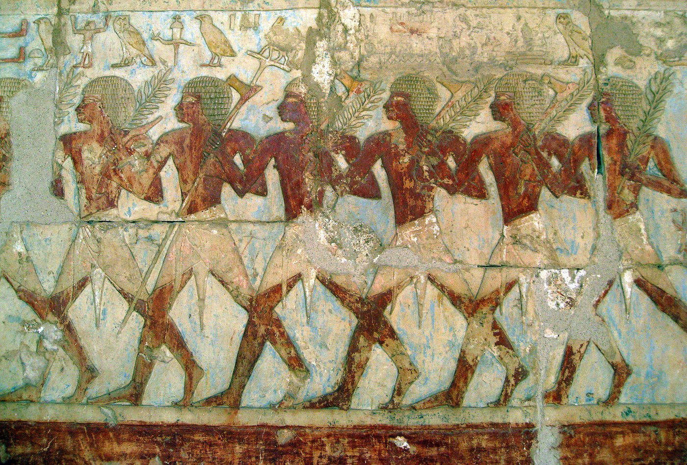 Punt: The Land Egypt Sailed To, Traced by a Baboon's Teeth