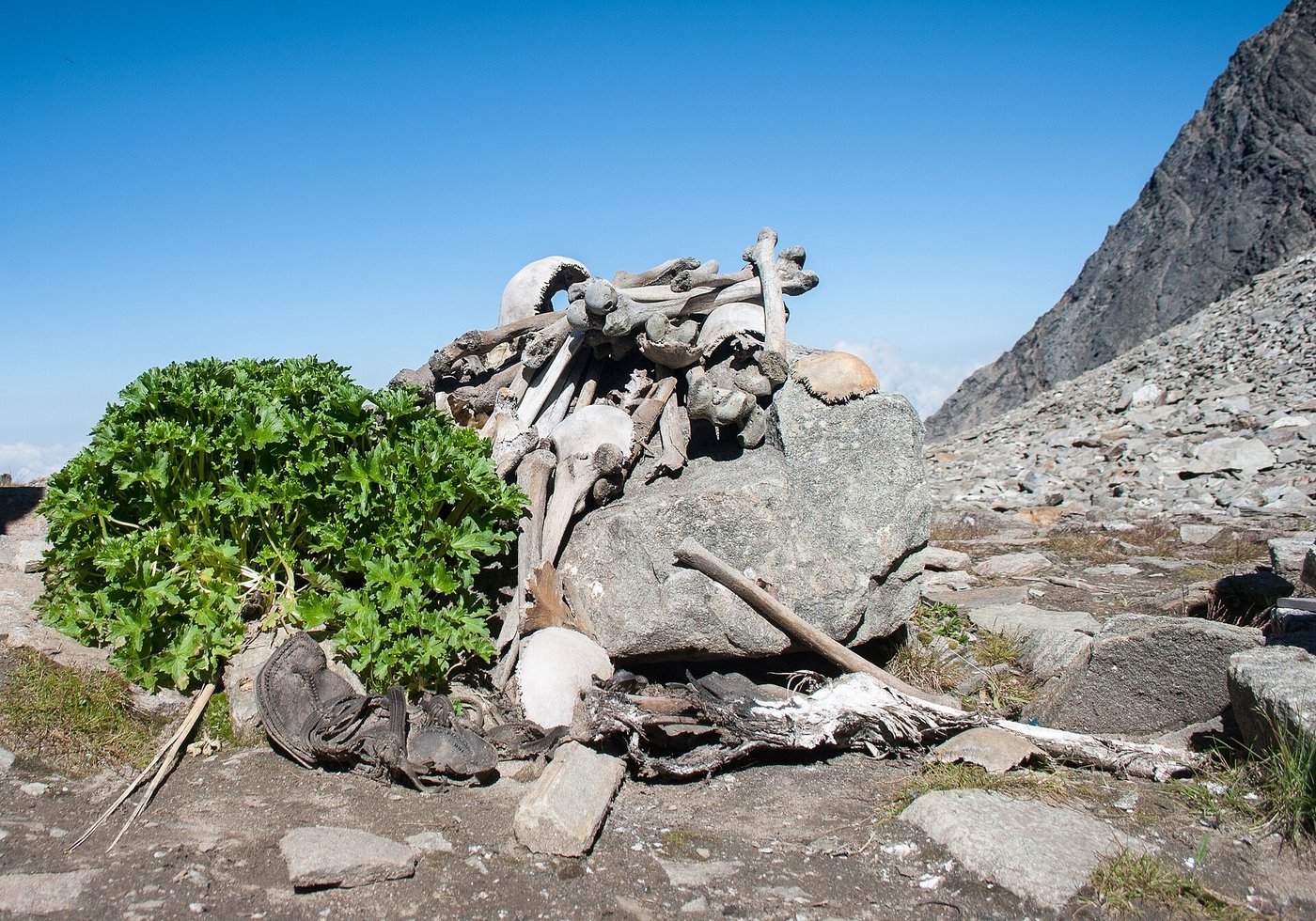 Roopkund: The Himalayan Lake of a Thousand Skeletons