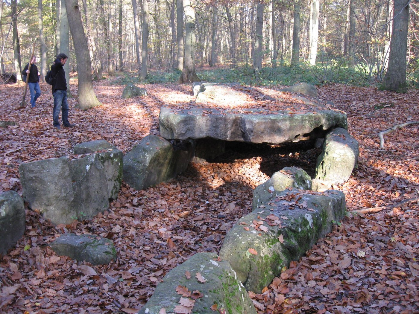 The Bury Tomb: How Ancient DNA Solved the Mystery of Europe's Vanished Megalith Builders