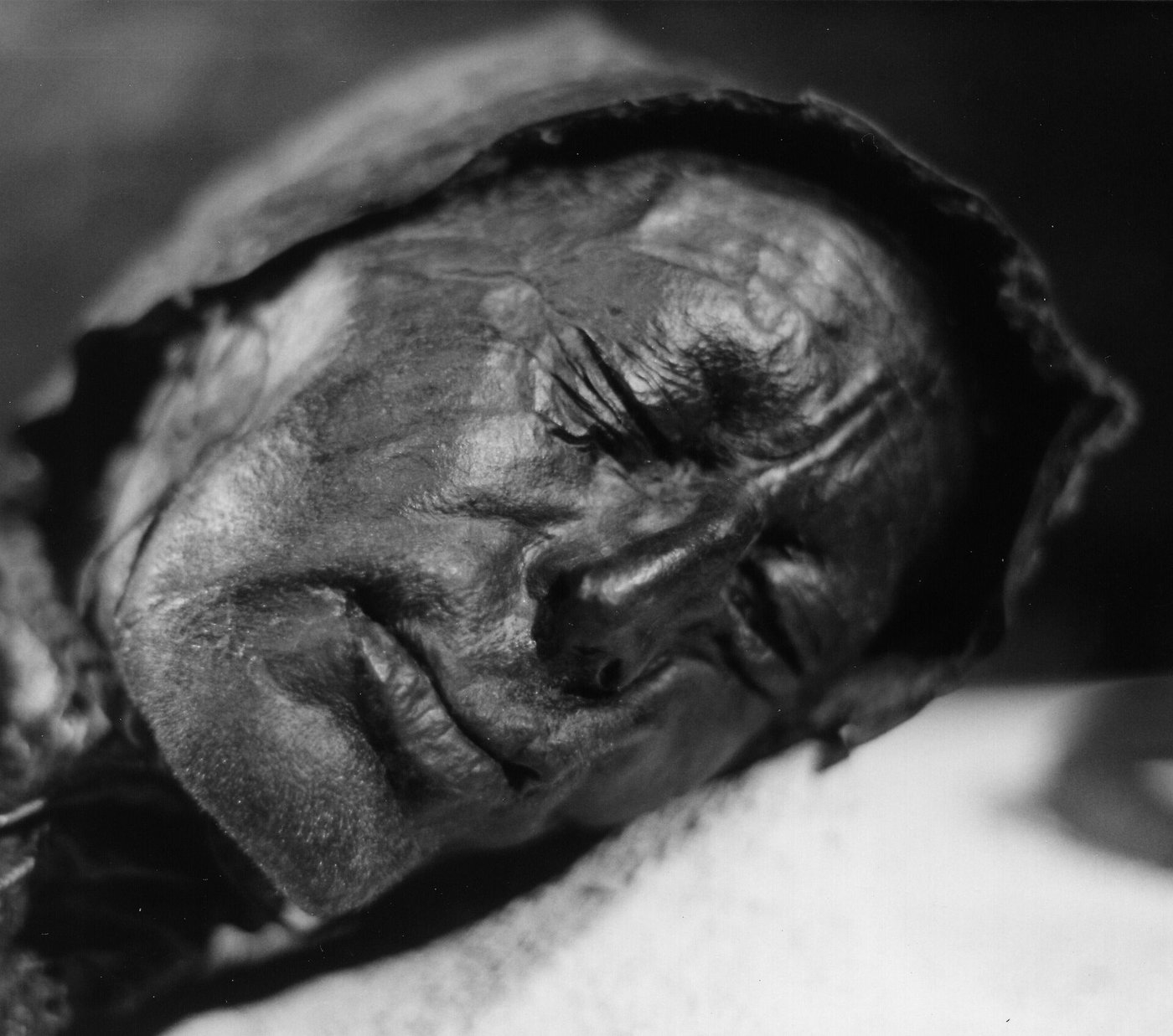 Tollund Man: The Bog Body Still Wearing the Noose That Hanged Him