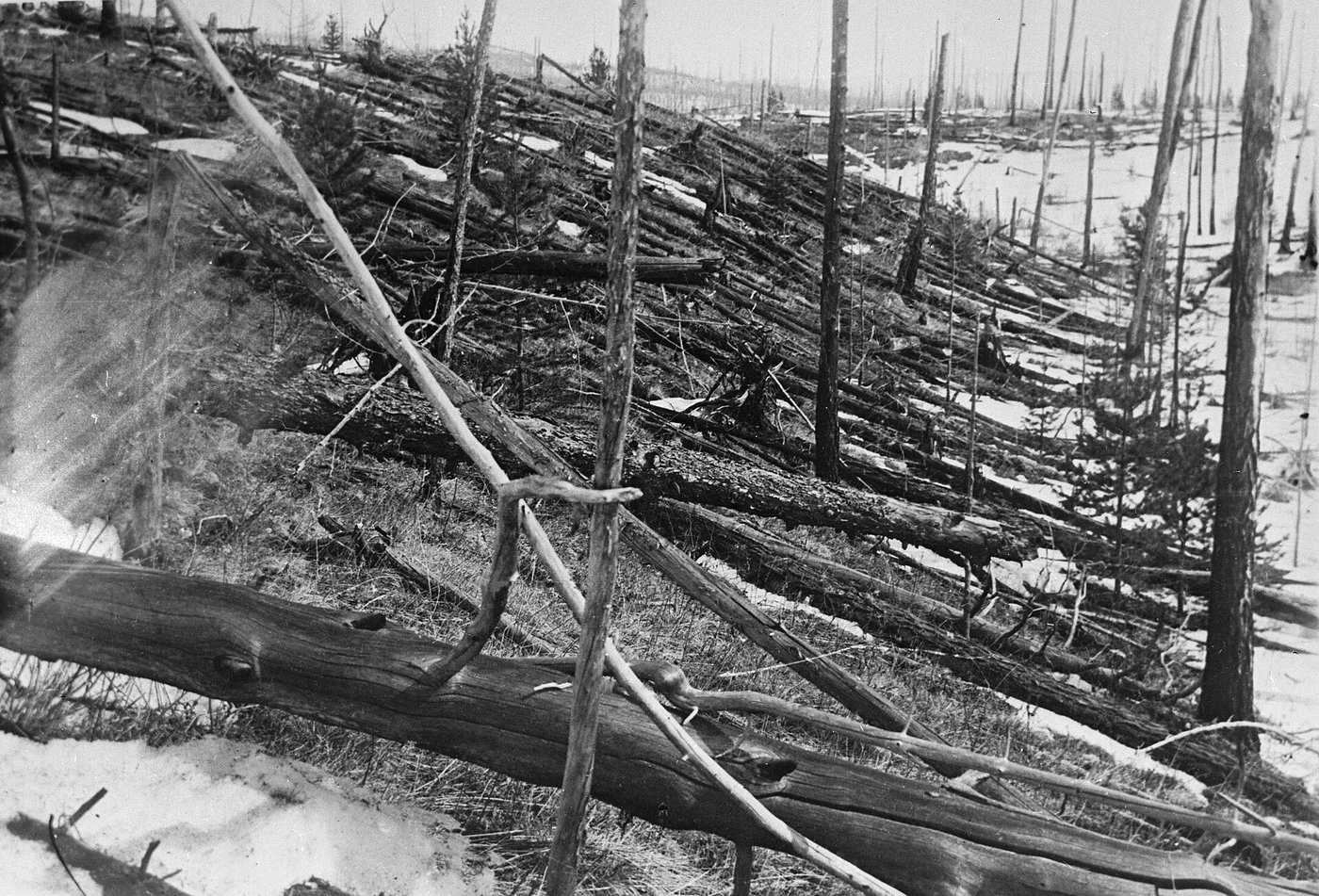 Tunguska: The Blast That Flattened a Forest and Left No Crater