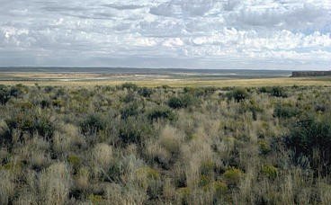 Aerial view showing a straight Chacoan road running across the desert