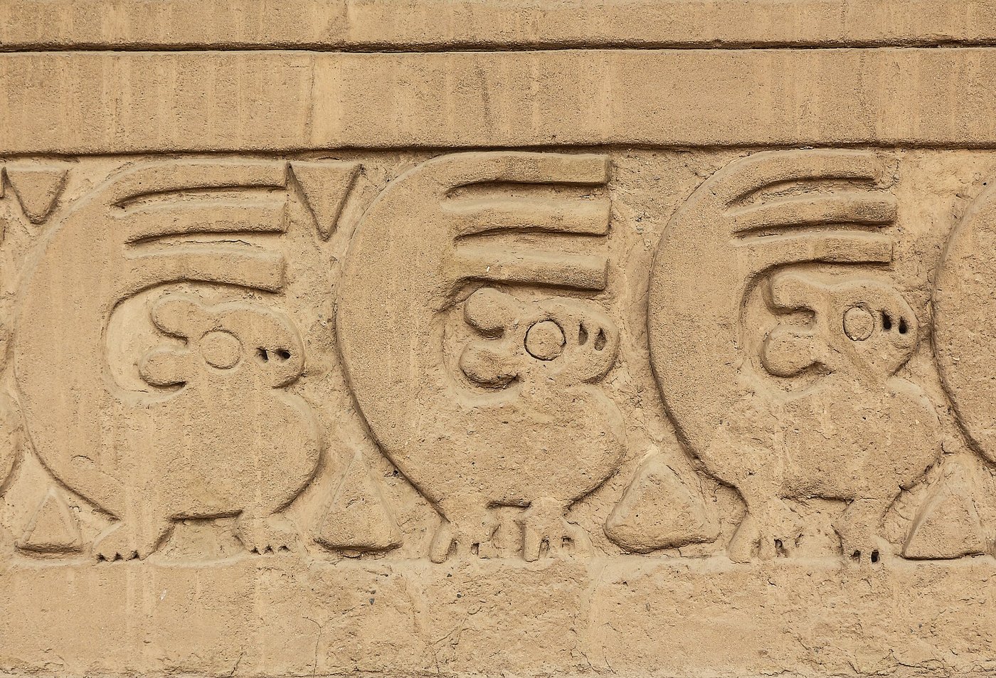 Adobe wall at Chan Chan carved in low relief with rows of fish, seabirds and net patterns