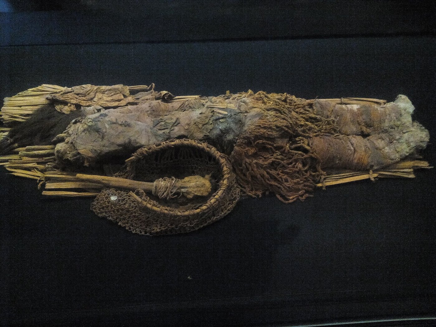 A red Chinchorro mummy painted with red ochre, with a long black wig, displayed in a museum case.