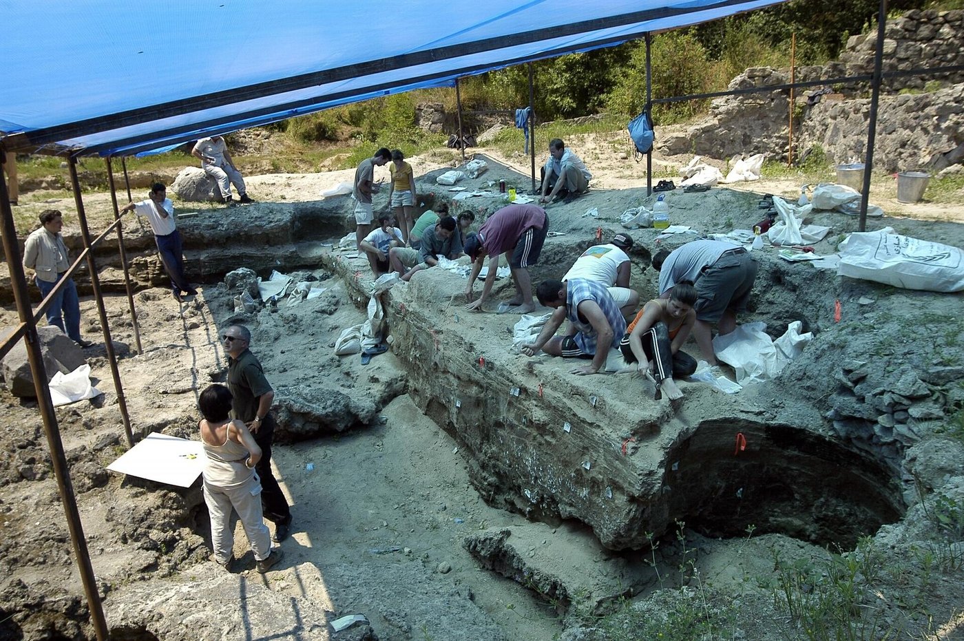 The Dmanisi excavation site in Georgia, trenches cut into a grassy hilltop beneath the ruins of a medieval town