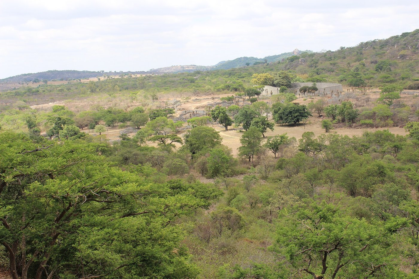 The great curving dry-stone outer wall of the Great Enclosure at Great Zimbabwe