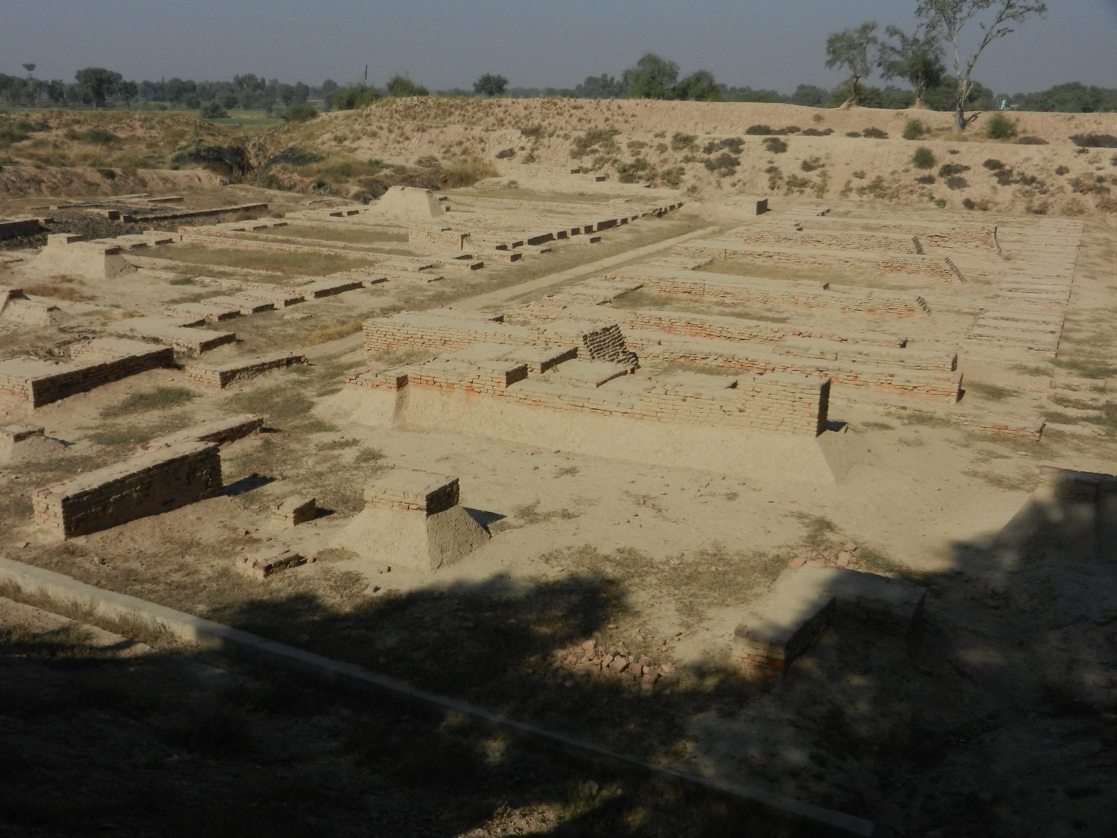 Excavated brick ruins at Harappa