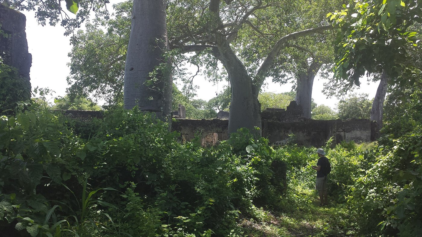 The well-preserved coral-stone ruins of Songo Mnara, a Swahili town near Kilwa
