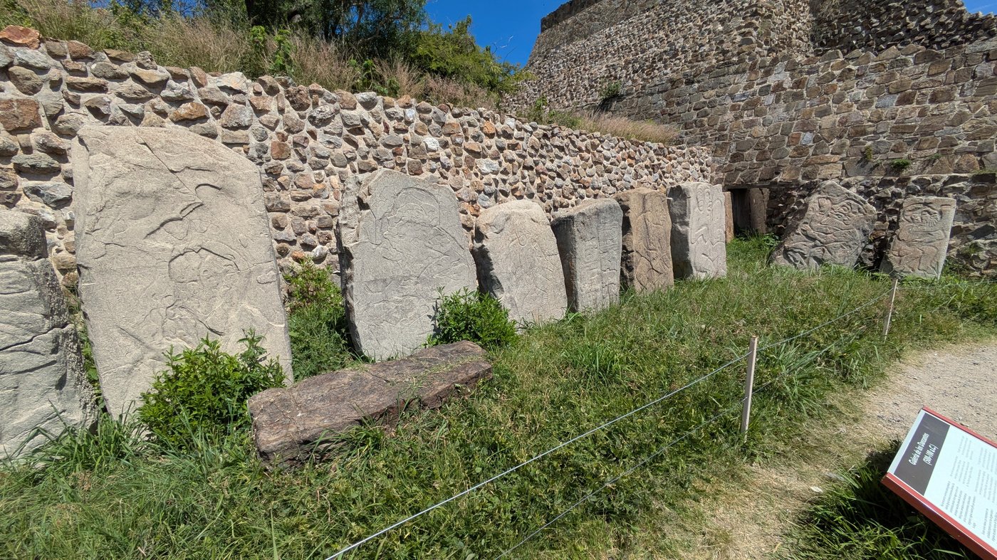 A stretch of the Gallery of the Danzantes at Monte Albán, rows of grey stone slabs each carved with a sprawled human figure