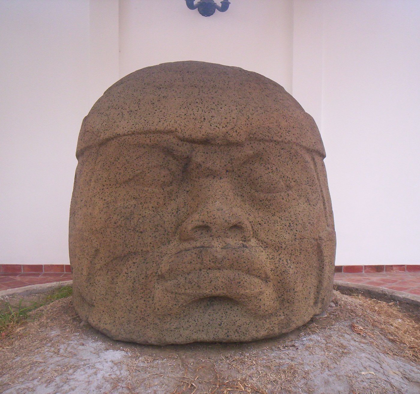 A colossal Olmec head displayed in a museum, its weathered basalt face pitted and scarred by age.