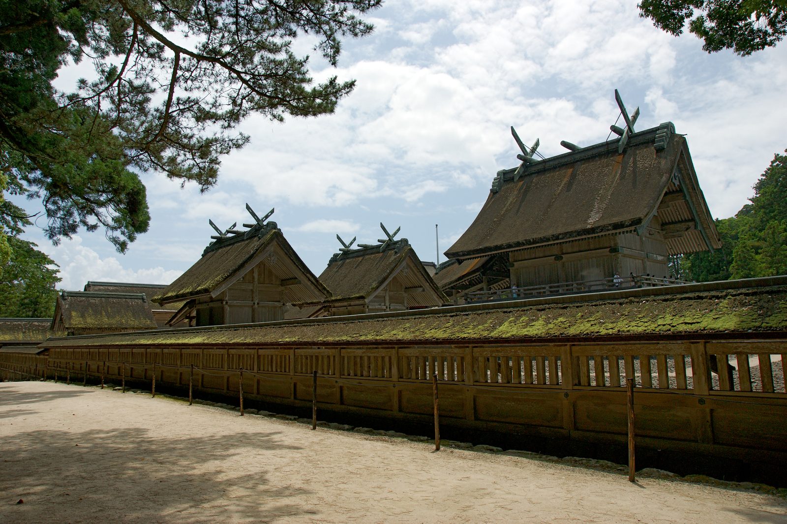The Izumo Taisha grand shrine in Japan