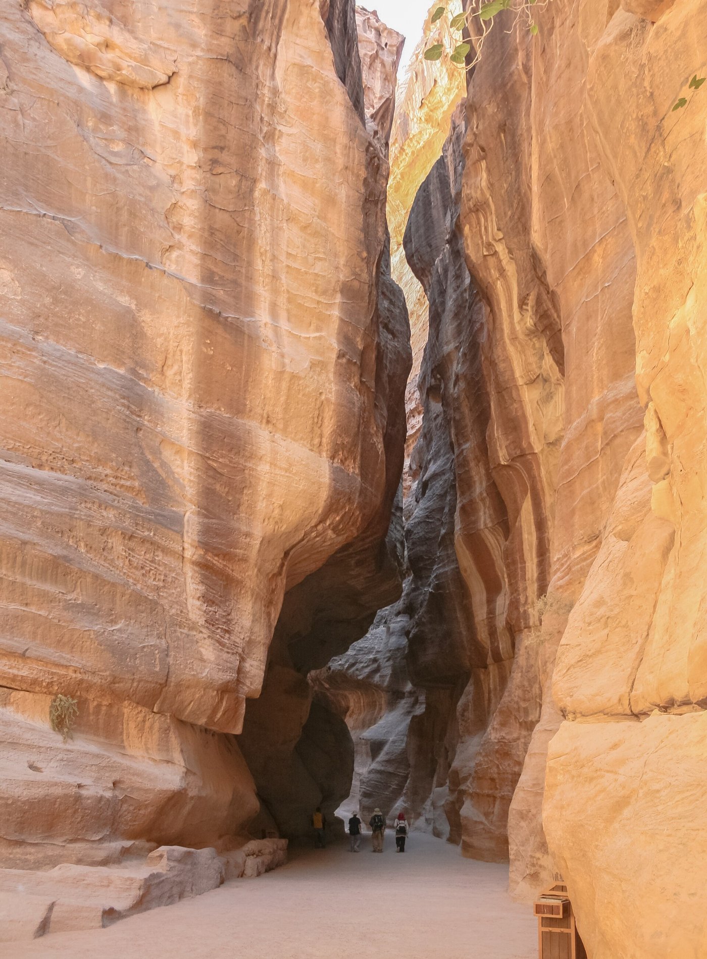 The Siq, the narrow high-walled sandstone gorge that forms the main entrance to Petra