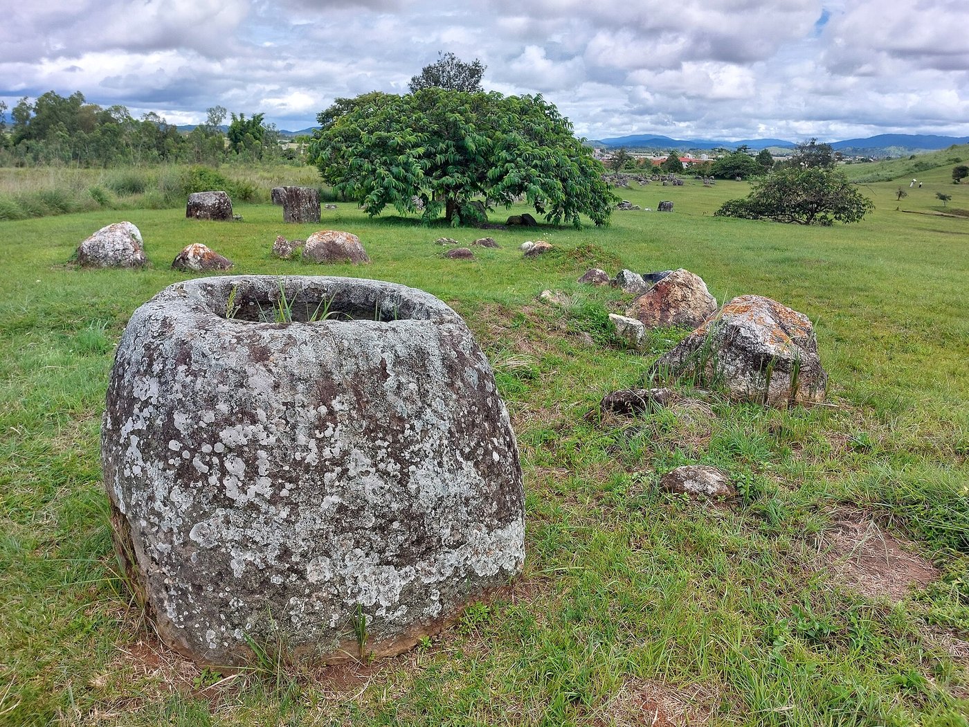 Weathered stone jars scattered across a grassy hillside beside a lone tree at the Plain of Jars, Laos
