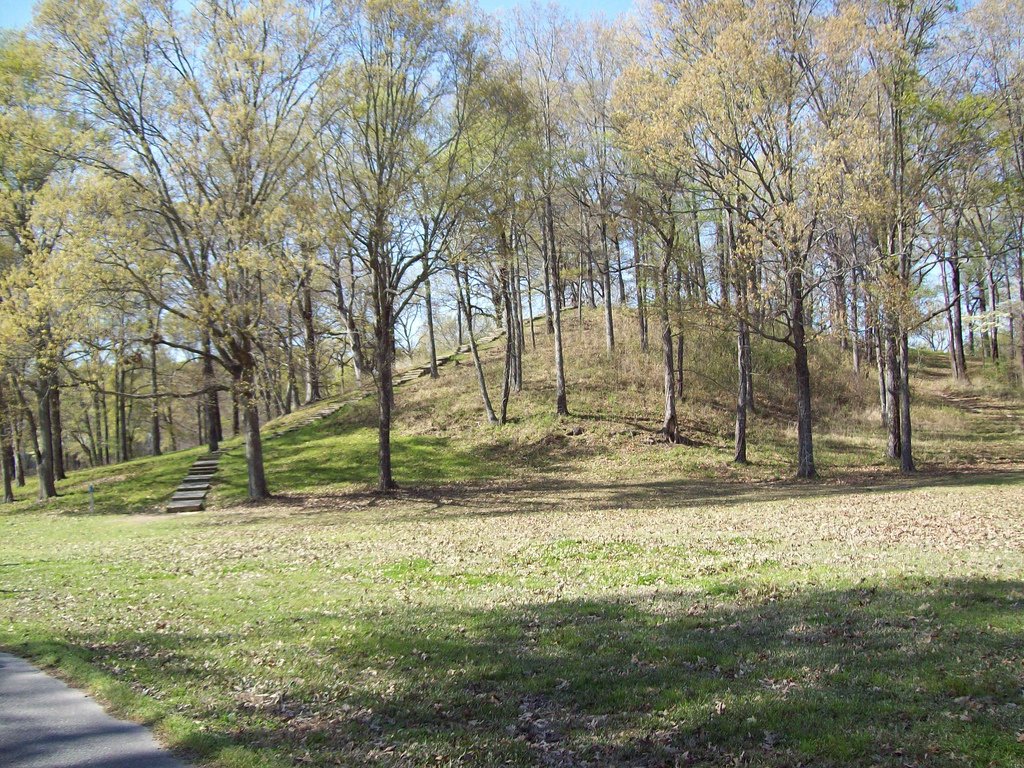 Mound A at Poverty Point, a large tree-covered earthen mound rising above flat grassland