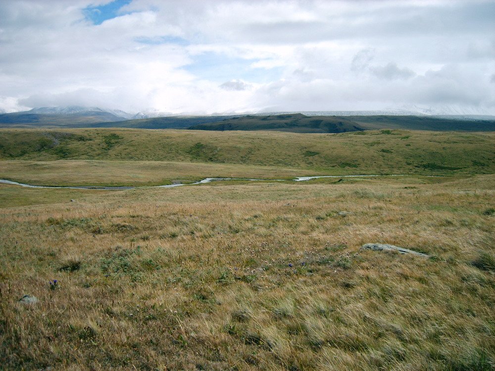 The windswept, treeless Ukok Plateau in the Altai Mountains under a wide sky