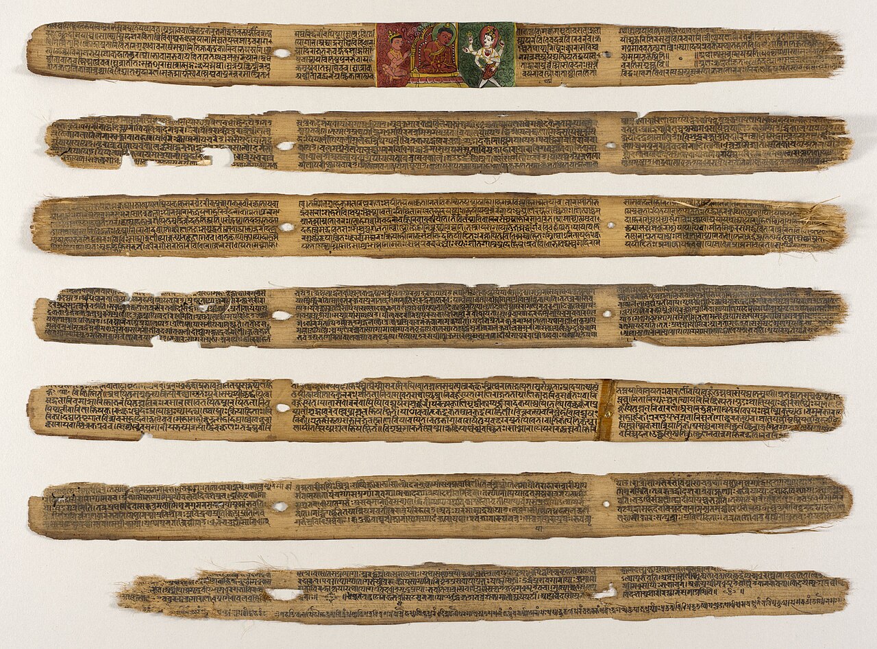 An illustrated manuscript page of the Sushruta Samhita