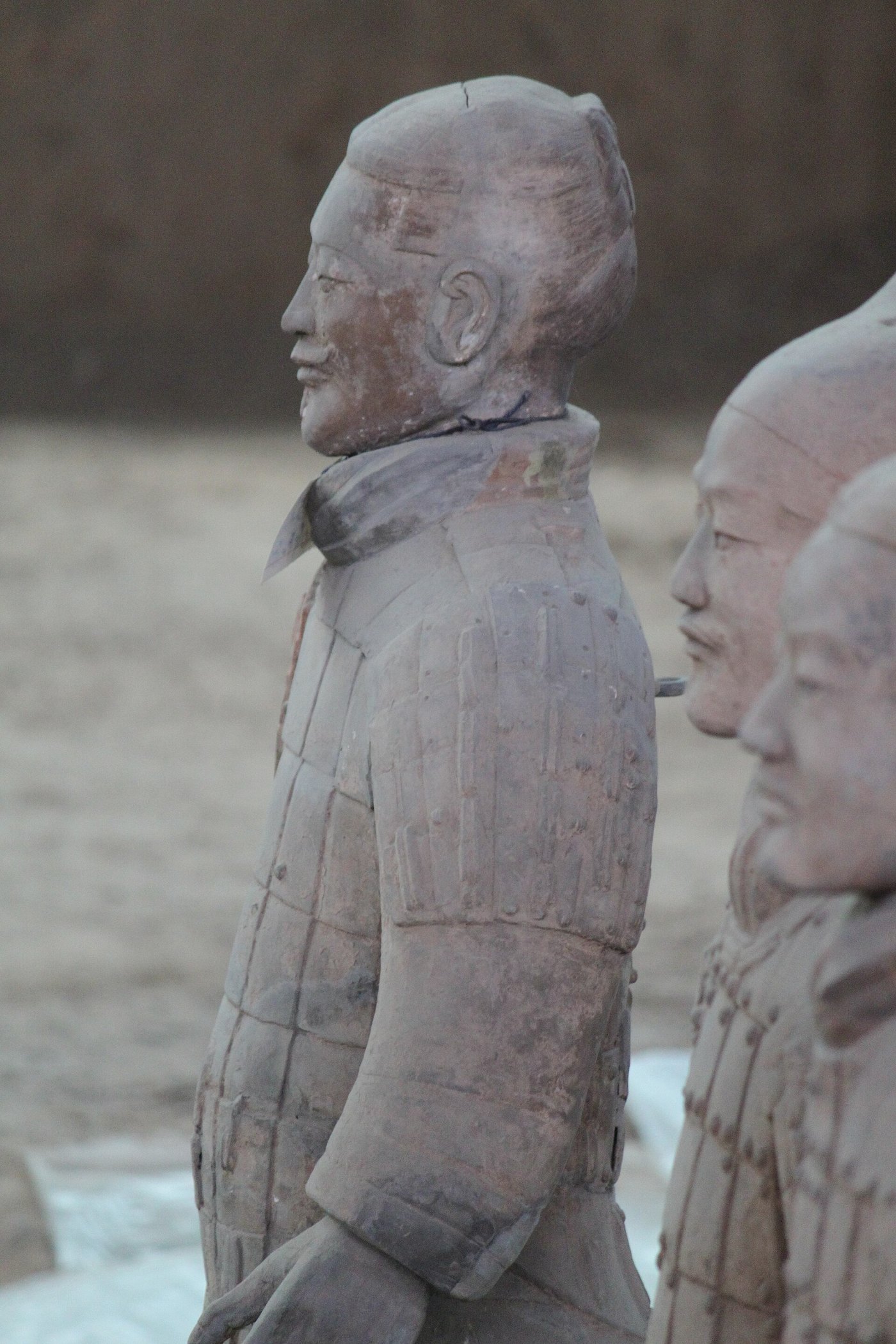 Three terracotta warrior heads seen in profile, each with a different face, moustache and hairstyle