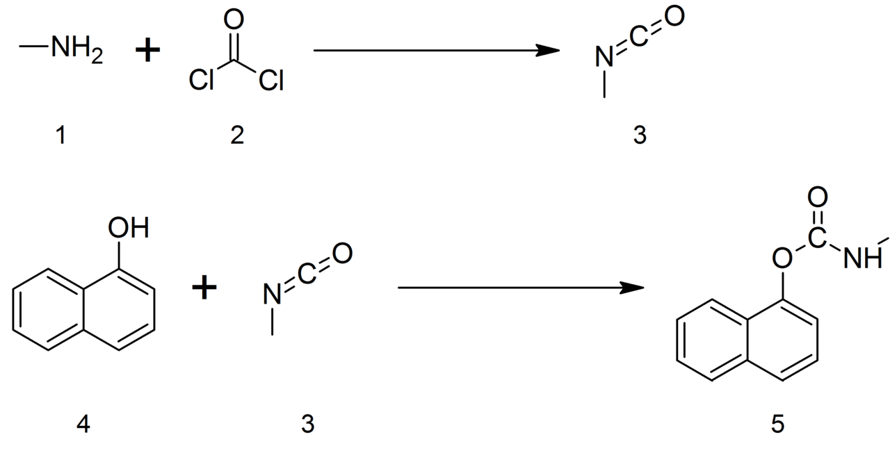 A diagram of the chemistry used to make carbaryl pesticide via methyl isocyanate