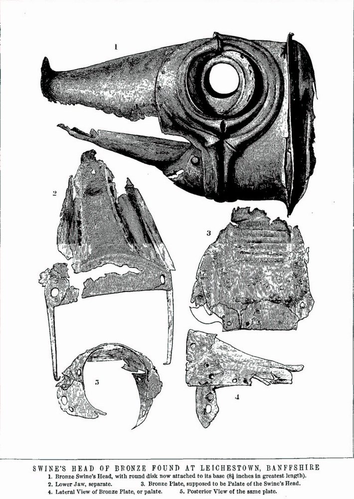 The corroded bronze boar's-head bell of the Deskford carnyx, its long snout and open mouth surviving without the tube