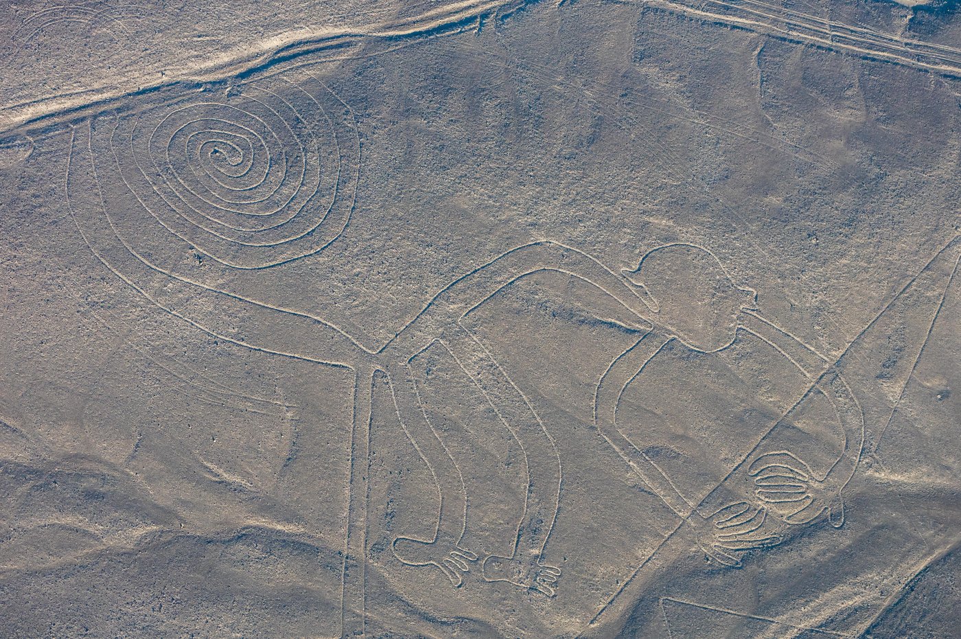 Aerial view of the Nazca monkey geoglyph, a large figure with a spiral tail drawn into the desert floor