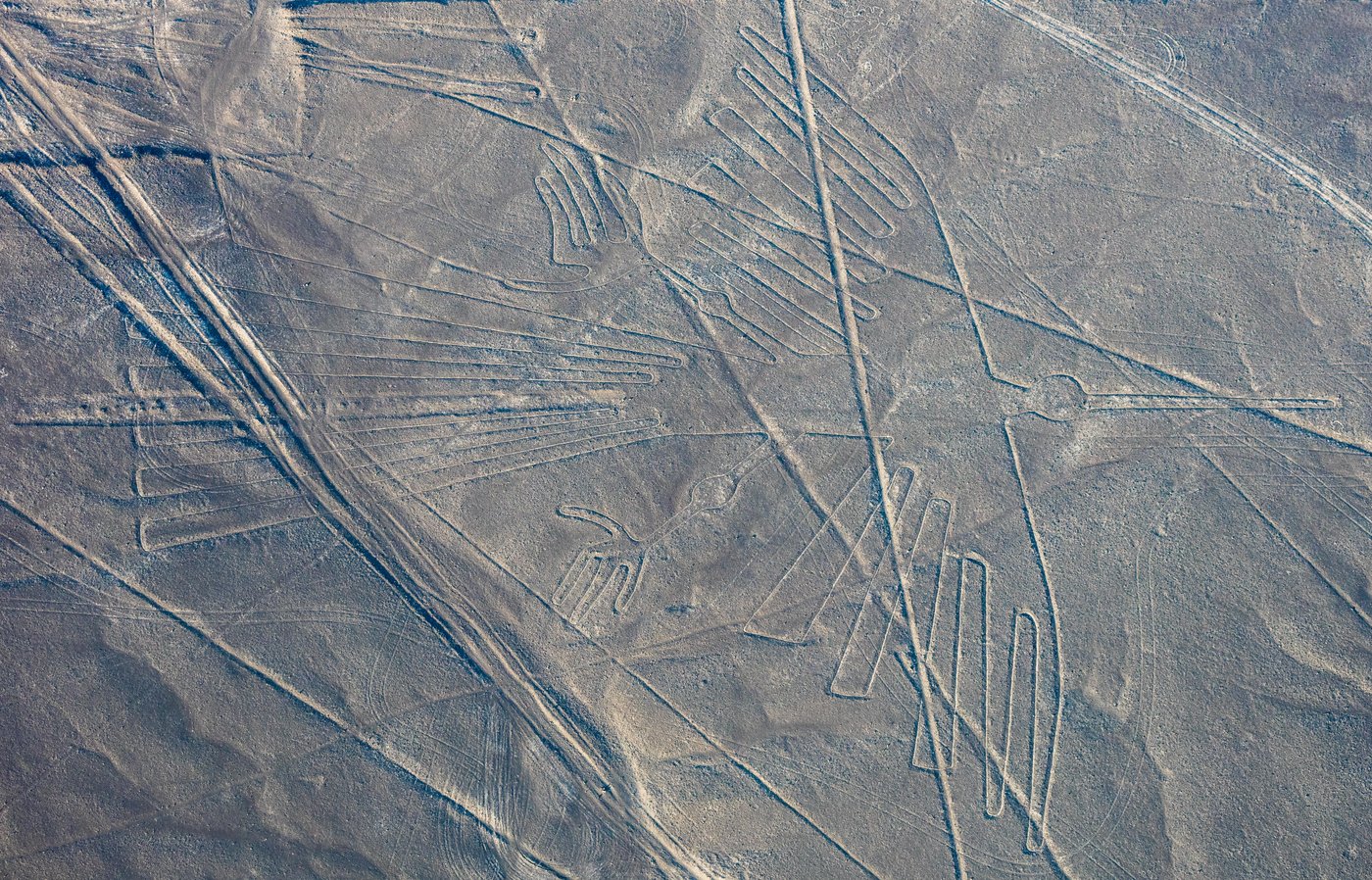 Aerial view of a large Nazca bird geoglyph, often identified as a condor or heron, crossed by straight desert lines