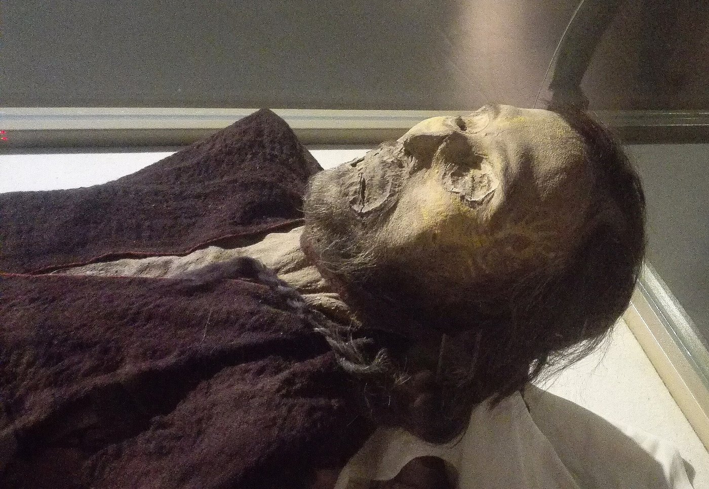 Mummified body of a tattooed man from Cherchen in the Tarim Basin, displayed in a museum case