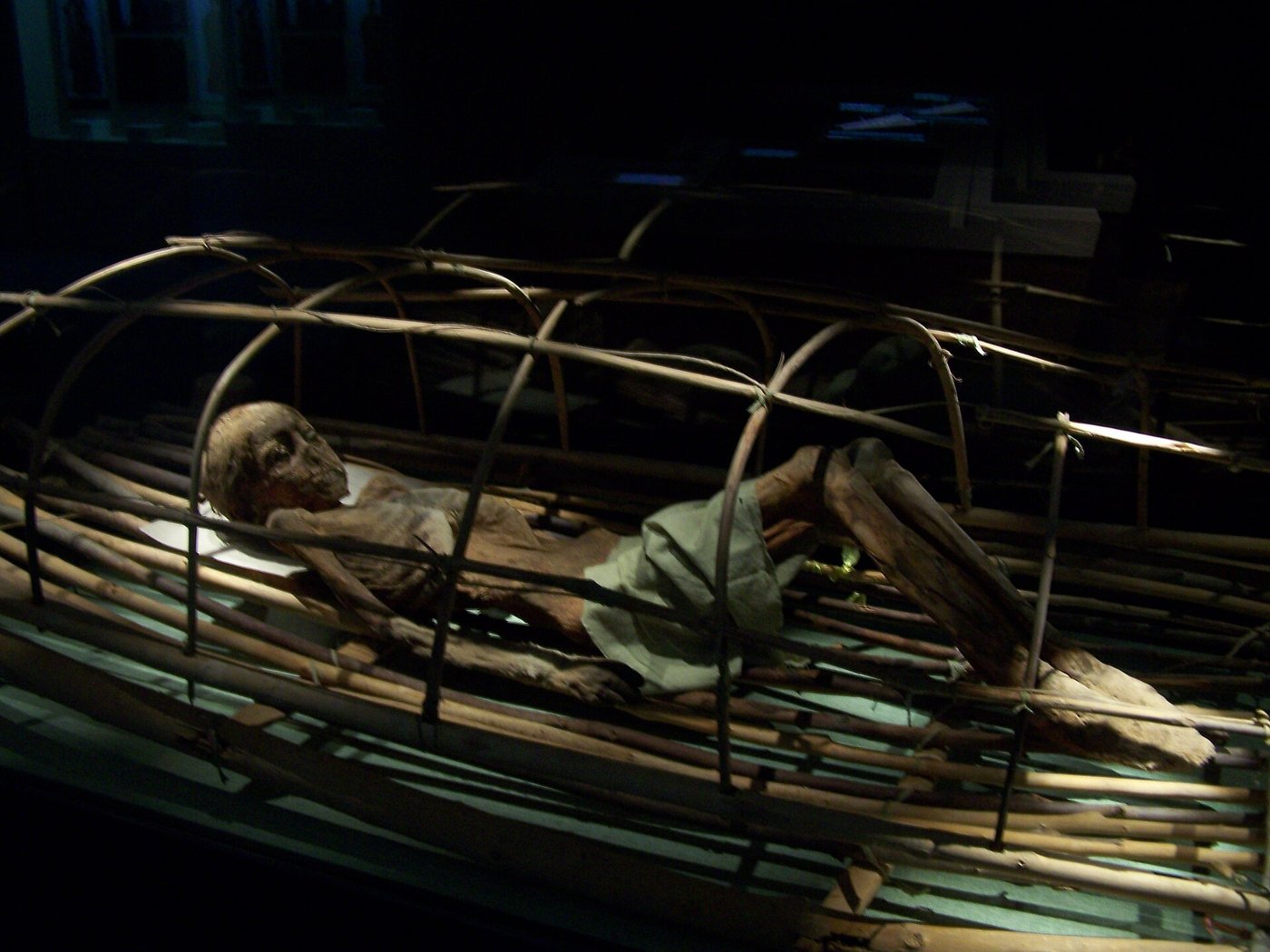 Mummified body of a young boy from the Tarim Basin displayed in the Turfan museum