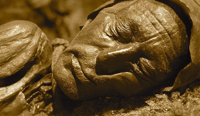 Close view of the preserved head of the Tollund Man, showing the stubble, closed eyes and peaceful expression