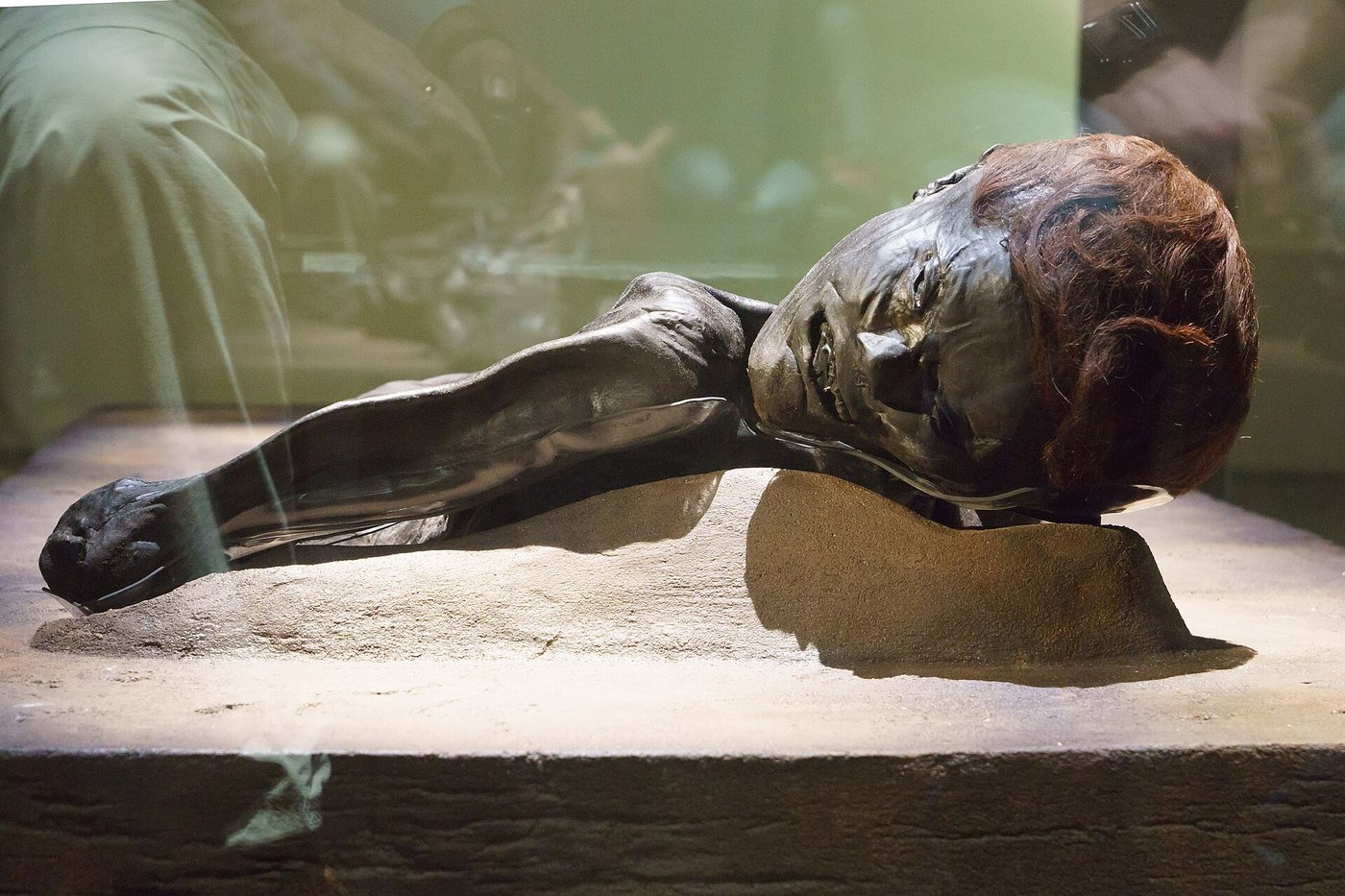 The Grauballe Man, another Danish Iron Age bog body, on display at the Moesgaard Museum