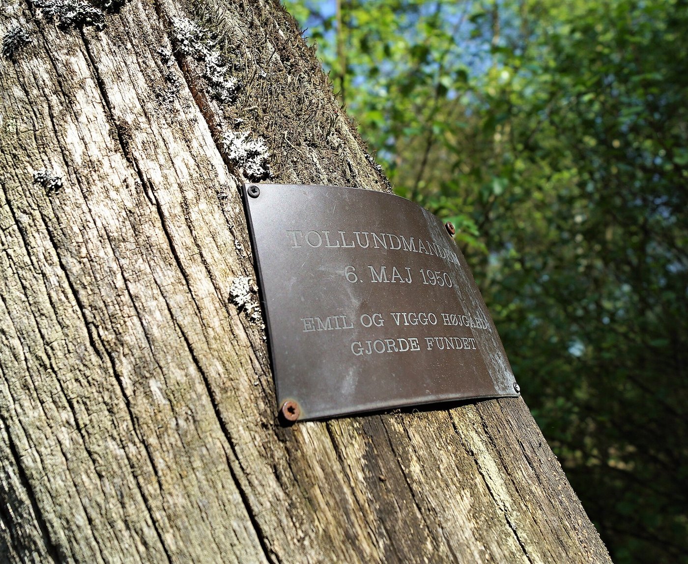 The memorial stone marking the place in the bog where the Tollund Man was discovered in 1950