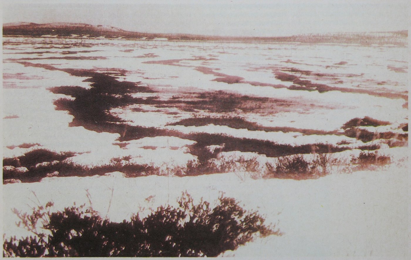 Dead, branchless tree trunks and boggy ground near the centre of the Tunguska blast zone, photographed on an early expedition