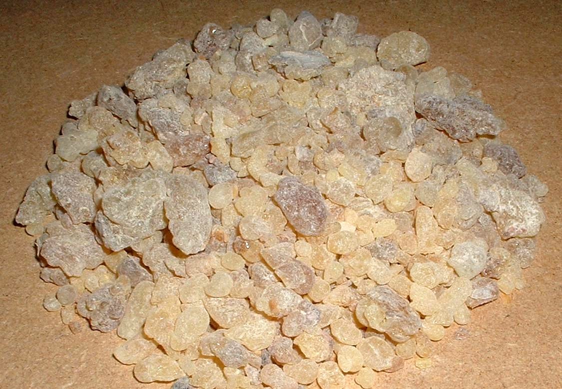 Hardened honey-coloured lumps of frankincense resin harvested from Boswellia trees in Dhofar, Oman