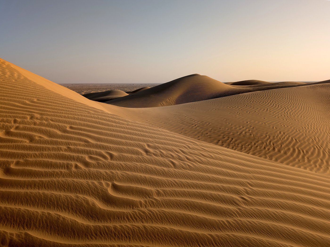 Wind-carved dunes of the Rub' al Khali, the Empty Quarter, in southern Oman under a pale sky