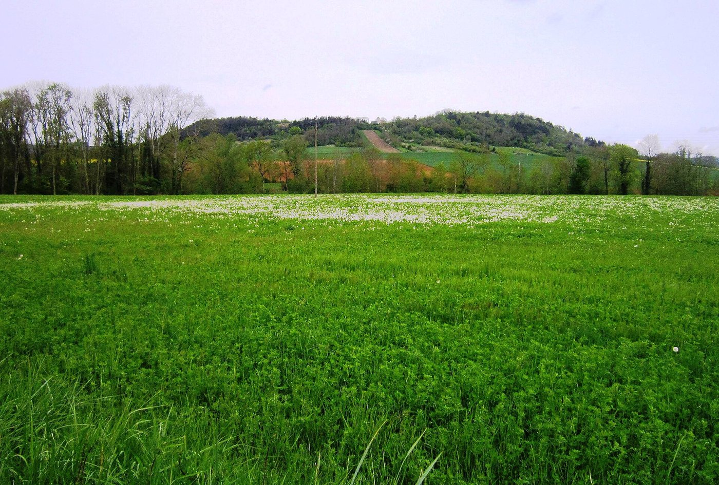 The flat-topped hill of Mont Lassois above the village of Vix and the upper Seine valley in Burgundy